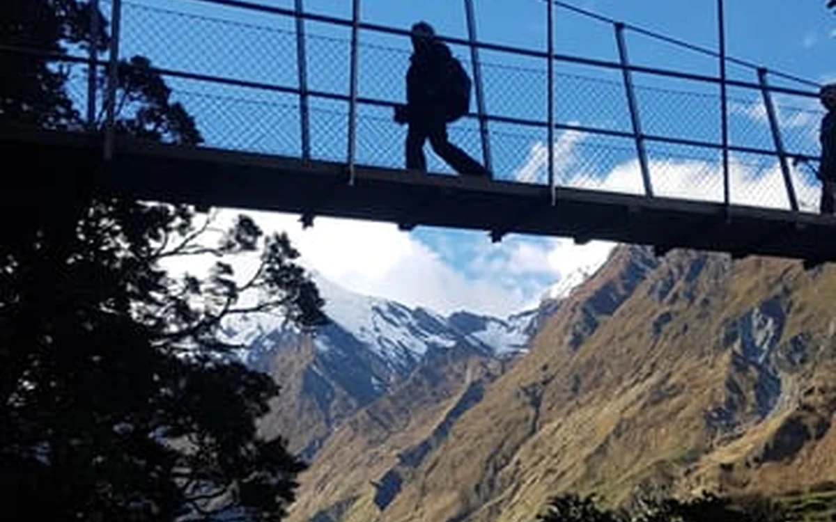 A swing bridge on the walking track below the Rob Roy Glacier